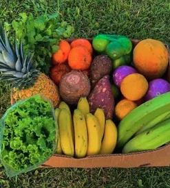 Viandas y Frutas