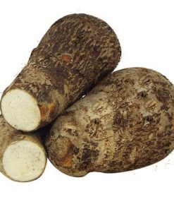 YAUTÍA BLANCA 1.5 LB